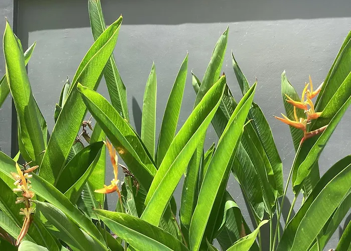 Villa Solas
